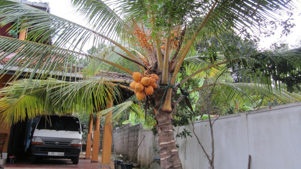 Ranith Villa Tangalle Exterior foto